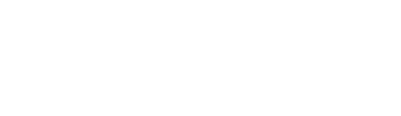 AdMammoth